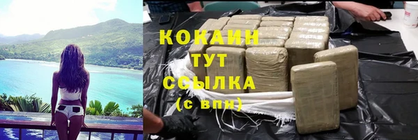 твердый Богданович