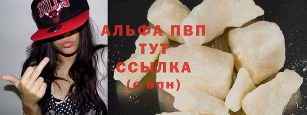 твердый Богданович