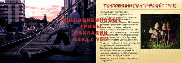 ешки Богородицк